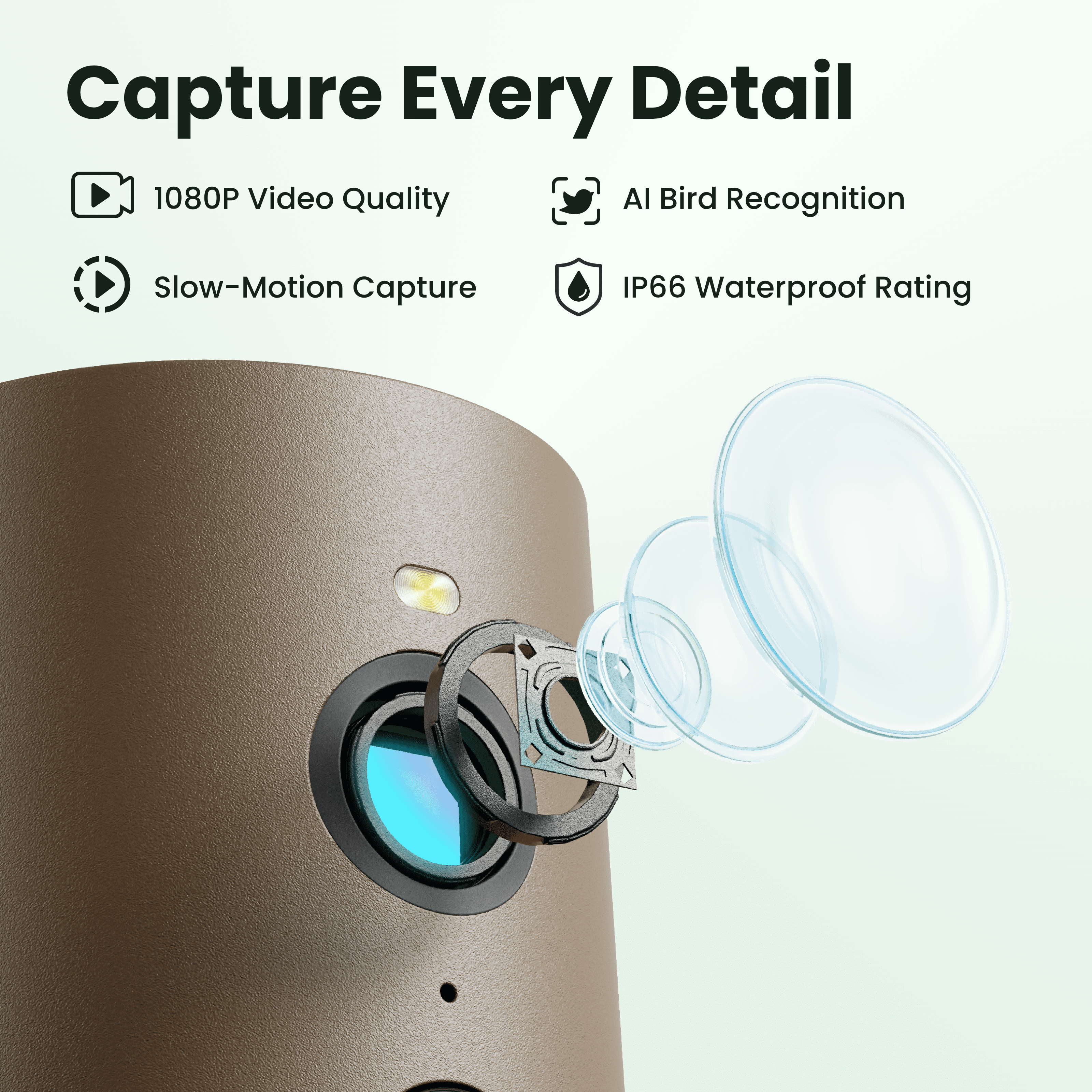 Birdfy Smart Bird Feeder with Camera, 6000+ AI Species Identification, 1080P HD Video, Instant App Alerts, Brown