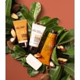 thumbnail image 3 of Set de viaje Natura Brazil Nut Dream Quartet con aceite de castaña, 3 of 7