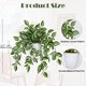 thumbnail image 2 of Planta Artificial en Maceta de Seda Briful 41 cm Peperomia de Sandía, 2 of 5
