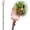 35-120", variant on Fruit Picker Pole with Basket – Adjustable Long Handle Tool for Apple, Orange, Avocado, Acorn, Lemon, Pear, Mango Tree Picking