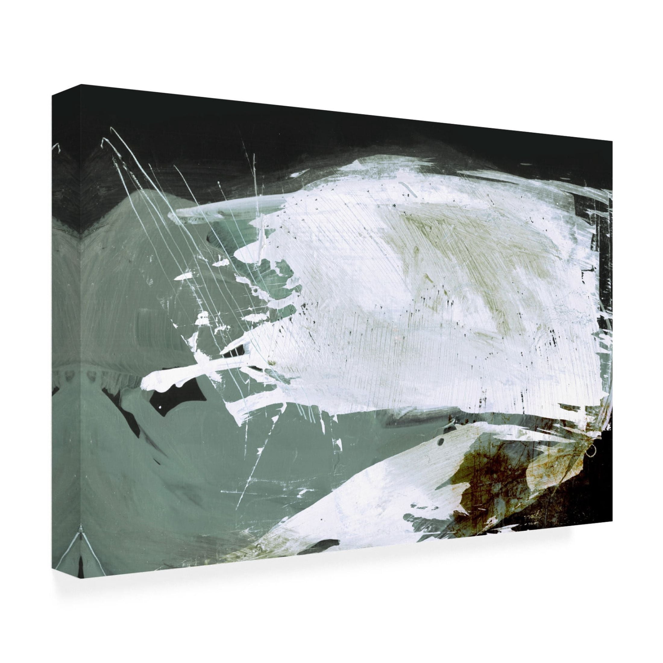 Trademark Fine Art Dan Hobday  Open Sea Canvas Wall Art