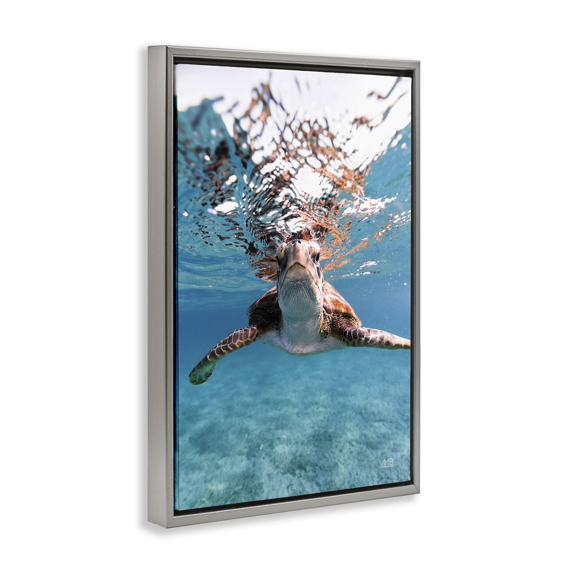 Stupell Industries Hello Sea Turtle Splash Animals Photography Gray Floater Framed Canvas Art Print Wall Art, 21 x 31