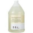 thumbnail image 2 of Ginger Lily Farms Club & Fitness Moisturizing Shampoo for All Hair Types, 100% Vegan & Cruelty-Free, Fragrance Free, 1 Gallon (128 fl oz) Refill, 2 of 6