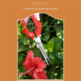 thumbnail image 3 of Garden Pruning Shears Potted Branches Scissors Fruit Picking Small Scissors Household Hand Tools, 3 of 6