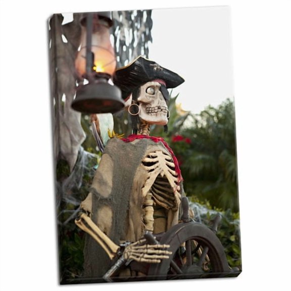 Gango Home Decor 'Pirate Skull II' Photographic Print on Wrapped Canvas