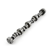 Ford Performance Parts Engine M-6250-E303 Hydraulic Roller Camshaft ...
