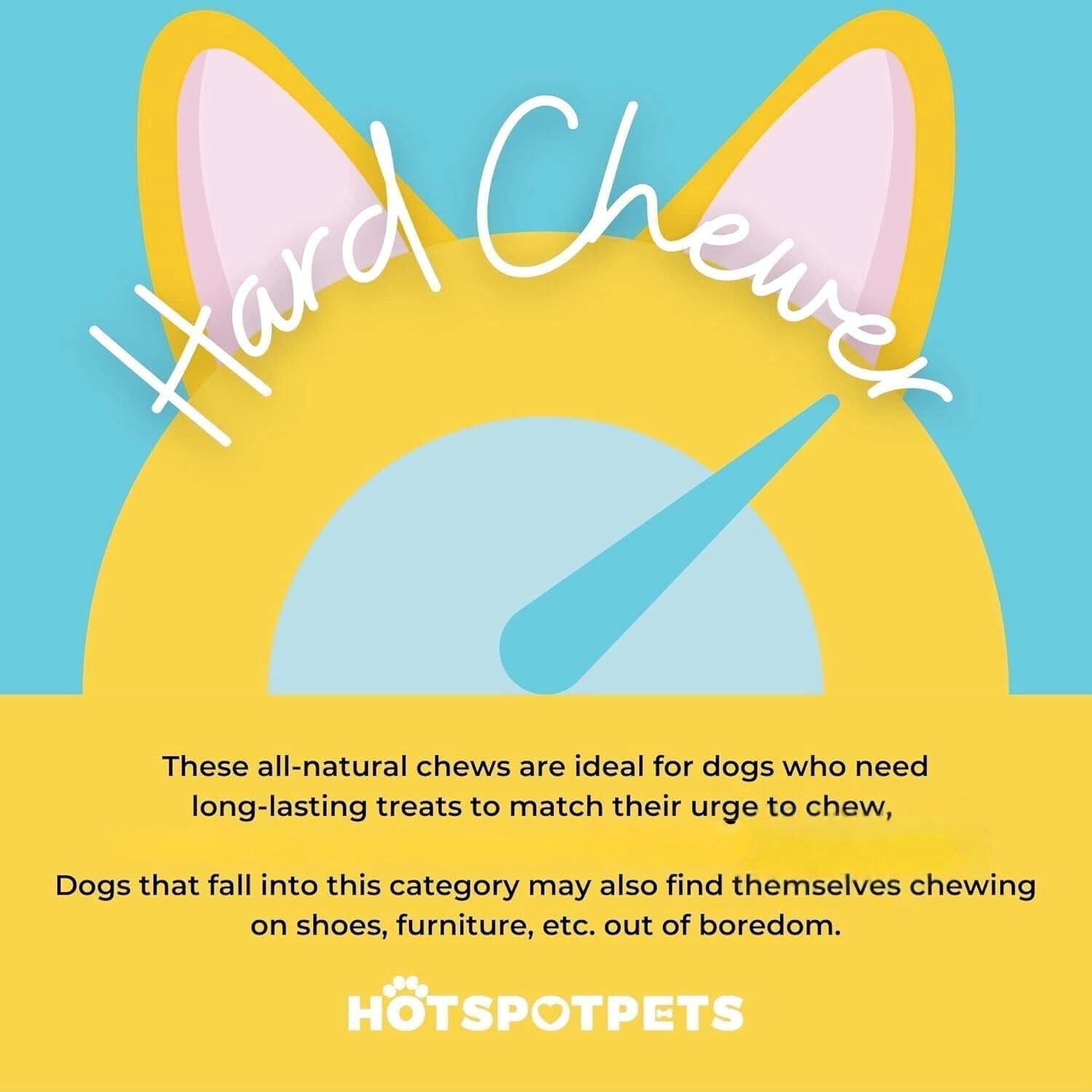 HotSpot Pets All Natural Braided Bully Sticks 6 Inch - 5 Pack - 100% Beef Chew Dog Treat for Large Dogs