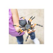 Safari Ltd. Orange-Kneed Tarantula Figurine - Realistic 8 Arachnid Figure - Educational Toy for Boys, Girls, and Kids Ages 3+