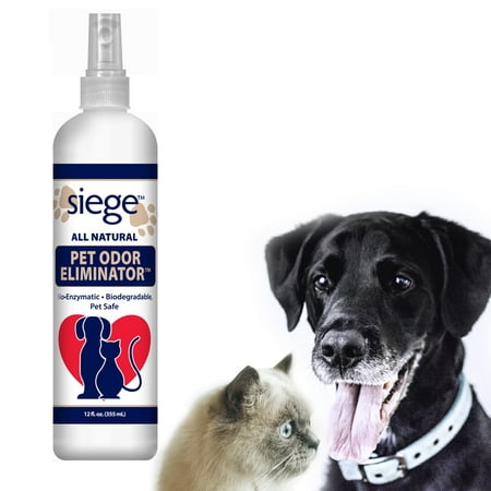 Siege Doggone Pet Odor Eliminator Spot Cleaner Dog Urine Remover Carpet (Best Way To Get Pet Urine Out Of Carpet)