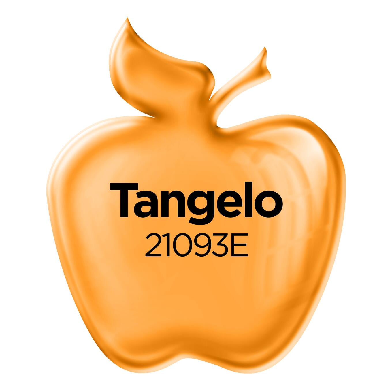 (2 pack) Apple Barrel Acrylic Craft Paint, Gloss Finish, Tangelo, 2 fl oz