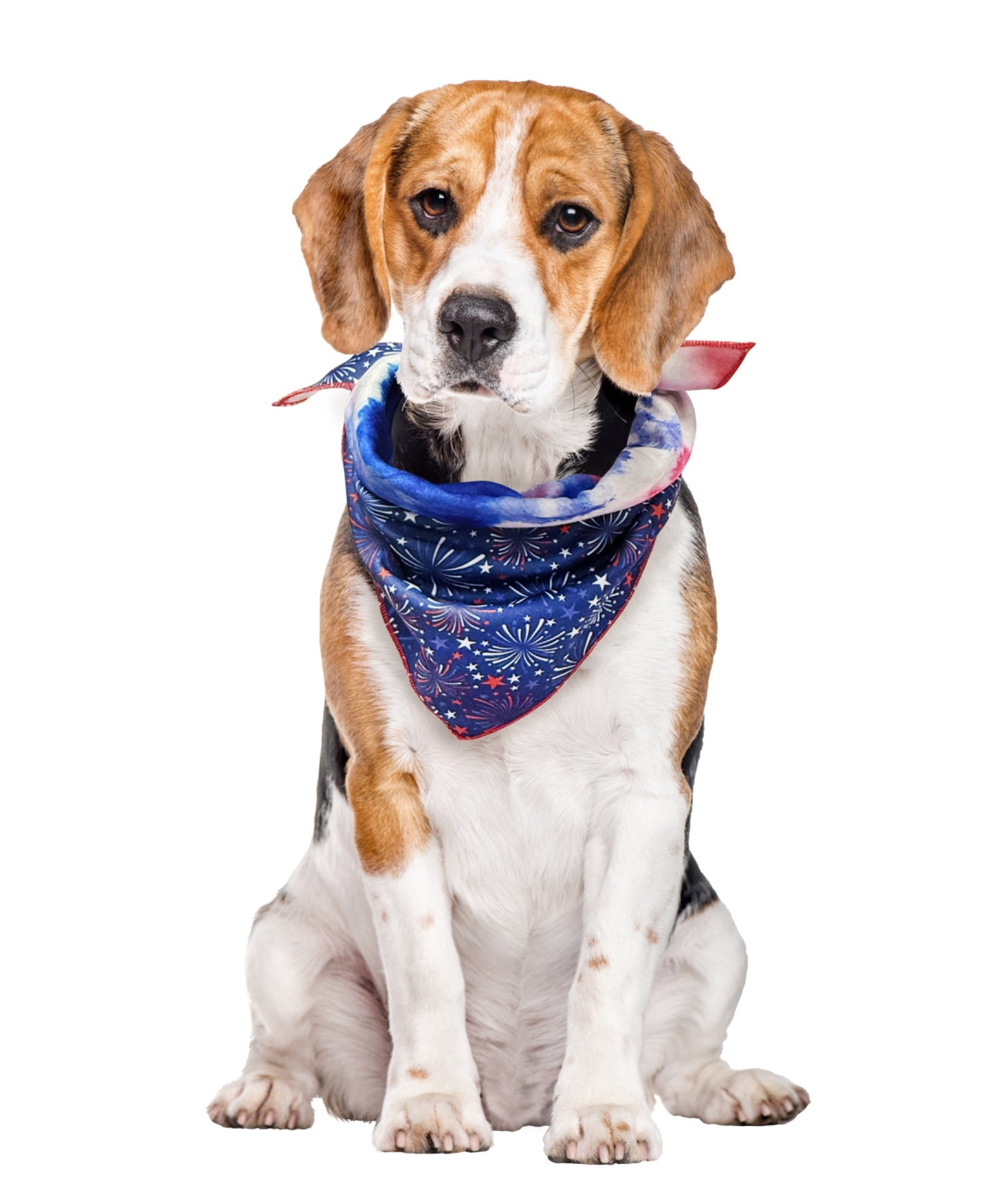 Vibrant Life 4th of July Reversible Pet Bandana, Fireworks/Tie-Dye, Medium/Large