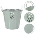 thumbnail image 3 of Pot de Fleurs Polyvalent pour Succulentes, Pot Rétro en Fer, Seau à Fleurs Ajouré, 3 of 9