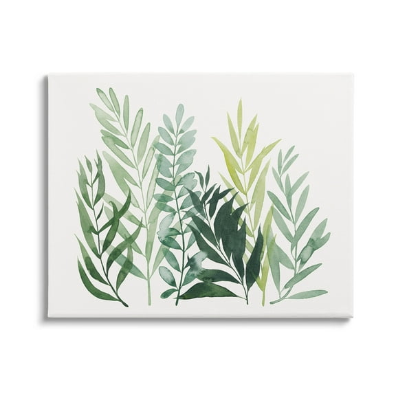 Stupell Industries Varied Grasses Botanical Leaves Graphic Art Gallery Wrapped Canvas Print Wall Art, Design by Grace Popp