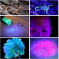 thumbnail image 3 of UV Flashlight Torch Light 100 Ultra Violet LEDs Pet Urine Spot Detector-Black-, 3 of 5