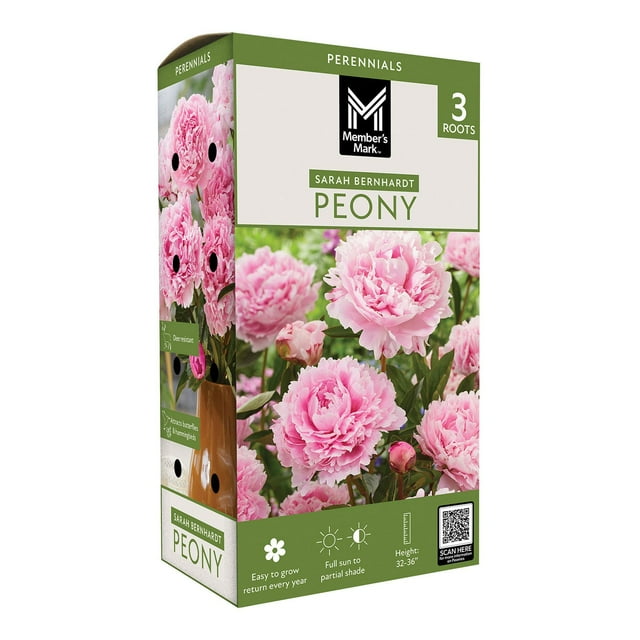 Member's Mark Peony Sarah Bernhardt Dormant Bulbs, 3pk