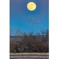 thumbnail image 2 of Jaynes Gallery 17x24 Black Ornate Wood Framed with Double Matting Museum Art Print Titled - USA-New Mexico-Bosque Del Apache National Wildlife Refuge-Full moon rising and flying blackbirds, 2 of 4