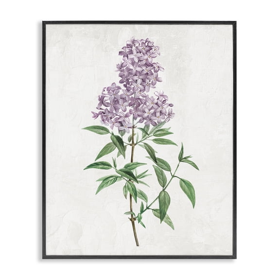 Stupell Industries Lilac Blossoms Blooms Black Framed Giclee Art, design by Kim Allen