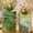 Claude Monet, variant on American Art Decor Vintage Vogue Magazine Ceramic Book Vase Set, 2pc Tabletop Vases for Bibliophiles & Fashionistas - Bookish Flower Vase for Book Lovers, Storage Organizer, Fall Decor Gifts