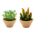 thumbnail image 1 of 2 uds. De suculentas de simulación de flores falsas en macetas, adornos creativos para decoración del hogar, plantas verdes artificiales, 1 of 5