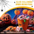 thumbnail image 5 of BNNG 10PCS Mini Plastic Spiders Halloween Simulated Spiders Black and Luminous Spiders Realistic Prank Toy with Plastic Storage Box for Halloween Decor Supplies, 5 of 8