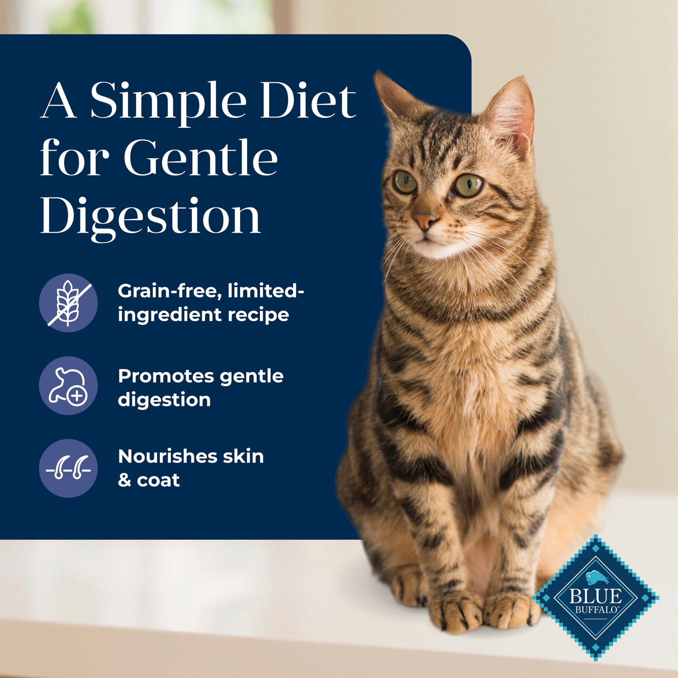 Blue Buffalo Basics Dry Cat Food Skin & Stomach, Duck & Potato, Chicken Free, 11lb Bag
