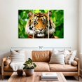thumbnail image 2 of Elephant Stock Sumatran Tiger Gaze Wall Art - Horizontal Multi Panel Canvas - Living Room Wall Decor - Animal Multi Panel - Green And Brown Decor - 57" x 36", 2 of 4