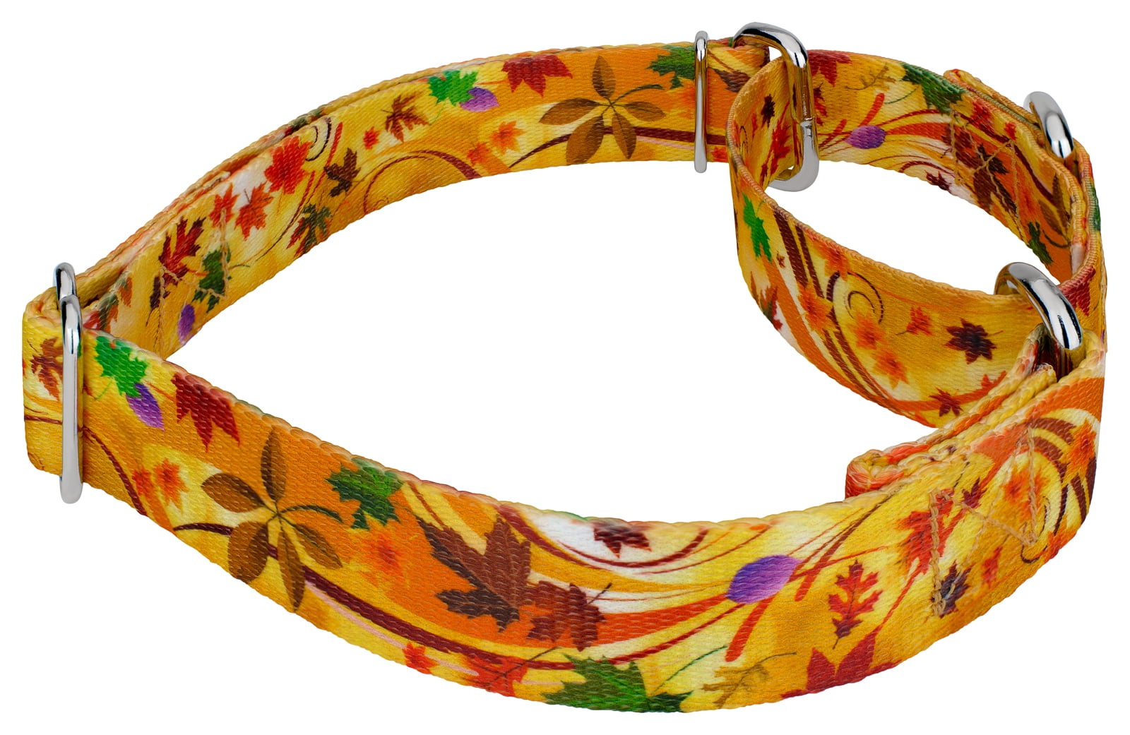 Country Brook Petz® Autumn Wind Martingale Dog Collar and Leash, Medium