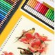 thumbnail image 5 of Colored Pencils 120pcs Coloring Pencils Premium Professional Art Drawing Pencil for Adults Coloring Book, 5 of 5