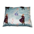 thumbnail image 1 of Frozen 2 Oreiller de Lit, 1 of 1