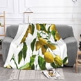 thumbnail image 3 of LNWH Super Soft Flannel Bed Blanket, Cozy Fluffy Warm All Seasons Lemon Vintage Painting Pattern Throw Blankets for Sofa Bedding, 80"x60", 3 of 8