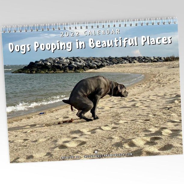 dogs-pooping-in-beautiful-places-2023-calendar-great-gag-gift-holiday-item-walmart-com