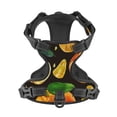 thumbnail image 4 of Gaeub Tangerine Gaeub Tangerine No Pull Dog Harness, Secure and Adjustable Pet Vest for Outdoor Activities - Medium, 4 of 9