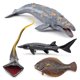 thumbnail image 4 of Figuras de animales de la vida marina profunda de simulación, modelo de animales del océano profundo de PVC, regalo perfecto para niños, 4 Uds., 4 of 8
