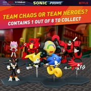 Sonic The Chaos Council Capsule