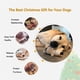 thumbnail image 3 of Squeaky dog toy, chew toy for dogs, hedgehog design, durable interactive toy for small, medium, and large dogs., 3 of 5
