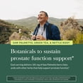 thumbnail image 5 of Gaia Herbs Prostate Health - Supports Prostate Health and Function for Men - With Saw Palmetto, Green Tea, Nettle Root, and White Sage* - 60 Vegan Liquid Phyto-Caps (30 Servings), 5 of 9