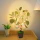 thumbnail image 4 of Luces LED de ramitas - Luz nocturna blanca cálida alimentada por USB • 30 LED • IP44 impermeable • Decoración artificial para plantas de 45-50cm, 4 of 7