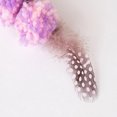 thumbnail image 2 of Cat Teaser Faux Feather: Plush Elastic Rope Interactive Kitten Wand Pet Play Toy, 2 of 6
