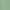 Loden Green, variant on Russell Athletic Boys Active Stretch Woven Cargo Shorts, Sizes 4-18 & Husky