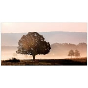 Empire Art Direct  24 x 48 in. Plain View Frameless Tempered Glass Panel Contemporary Wall Art