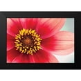 thumbnail image 2 of Styber, Dana 24x17 Black Modern Framed Museum Art Print Titled - Starburst IV, 2 of 5