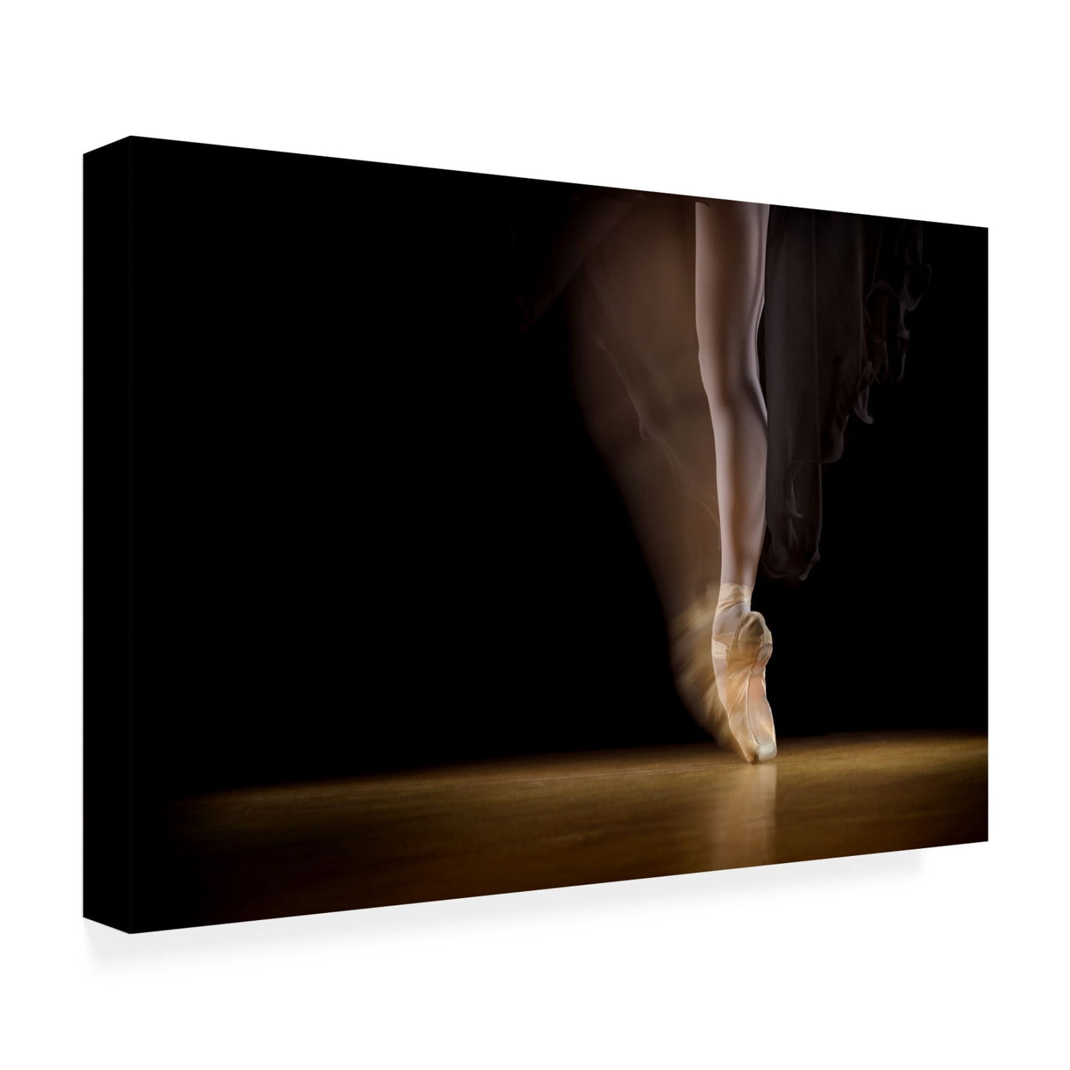 Canvas Wall Art - Howard Ashton-Jones 'Spin' Wall Art for Living Room, Bedroom, or Office Décor by Trademark Fine Art - 19 x 12 Inches