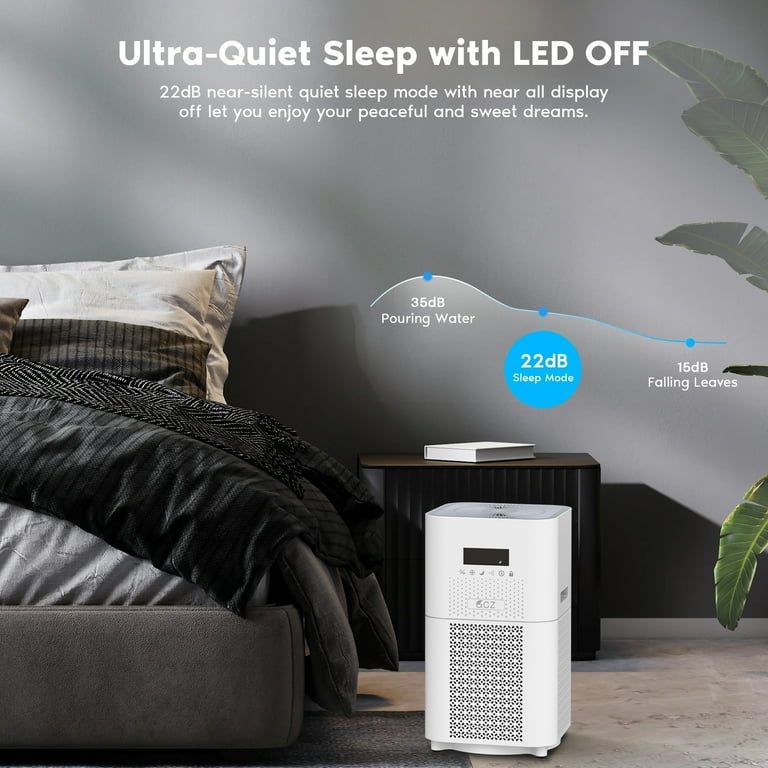 Can Air Purifiers Help With Asthma And Feather Pillows? Discover How
