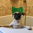 thumbnail image 5 of Reusable Pet Ear Hood for Dogs and Cats Bathing Shower Swimming Grooming Care, 5 of 5