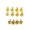 Golden, variant on 12Pcs M5x9mm Disk Brake Rotor Bolts Steel T25 Bike Bicycle Brakes Disc Screws