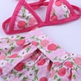 thumbnail image 4 of CSChome Maillot de Bain pour Animaux de Compagnie, Confortable, Impression Claire, pour Fête d'Été à la Plage, 4 of 6