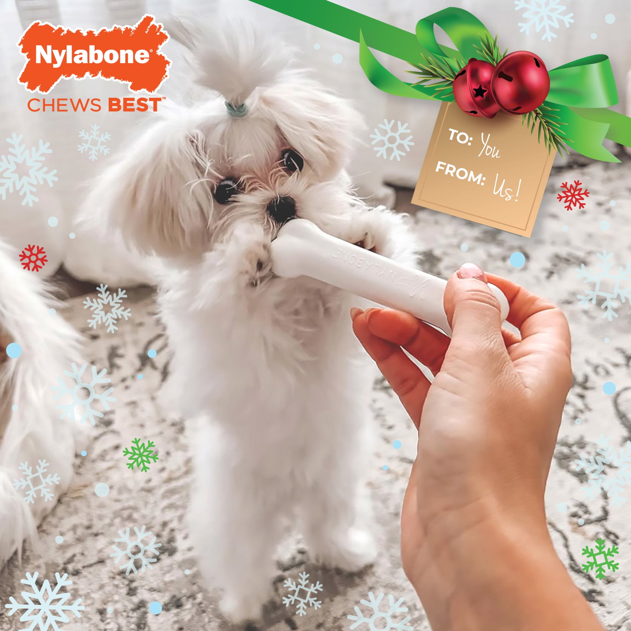 Nylabone Holiday Puppy Chew Dog Toy Starter Kit, Dog Chew Toys & Dog Treat, Chicken & Bacon Flavor, Small, 3 pack