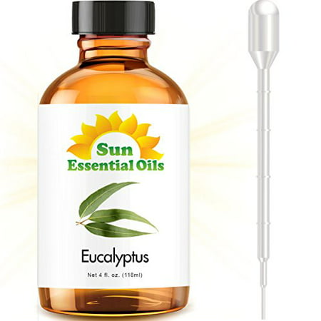 Eucalyptus (Large 4oz) Best Essential Oil (Best Essential Oils For Teeth)