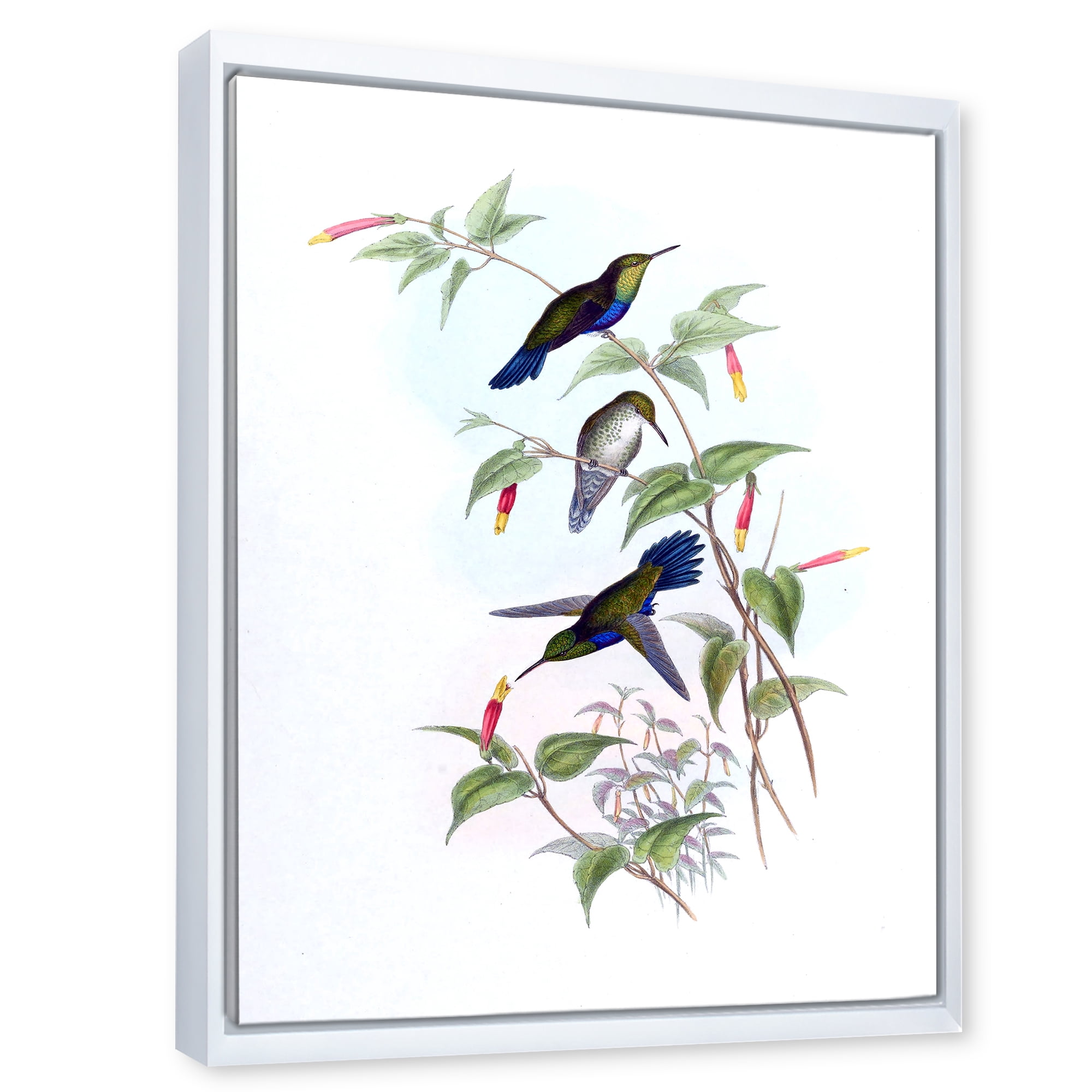 Designart 'Ancient Hummingbird I' Traditional Framed Canvas Wall Art Print