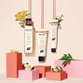 thumbnail image 3 of Champú Anti-Frizz PHYTO PARIS Phytodefrisant 8,45 fl oz, 3 of 3